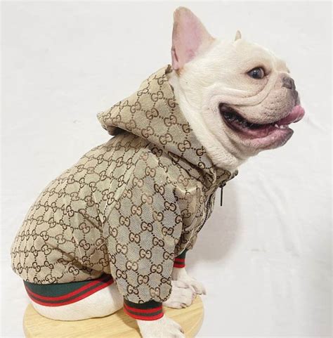 how much is a gucci dog raincoat|gucci online customer service.